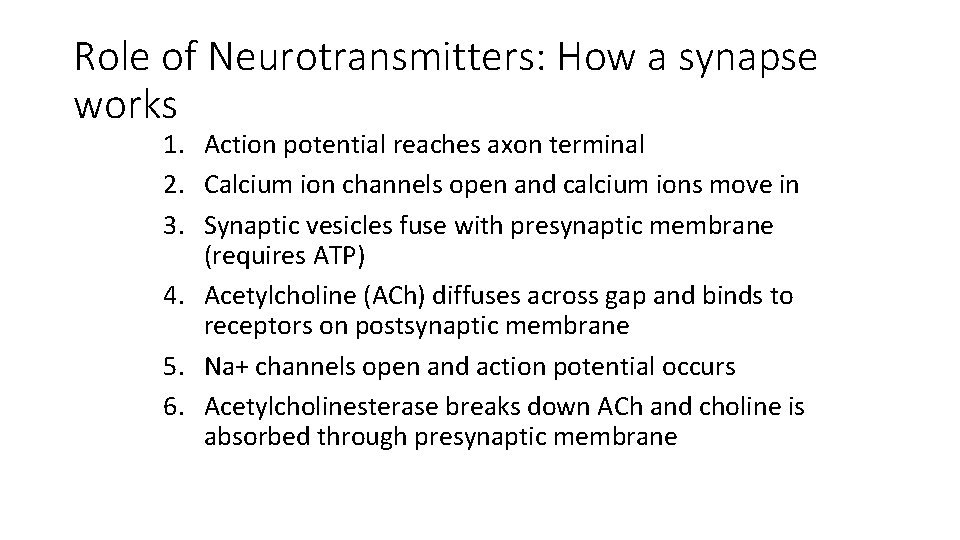 Role of Neurotransmitters: How a synapse works 1. Action potential reaches axon terminal 2.