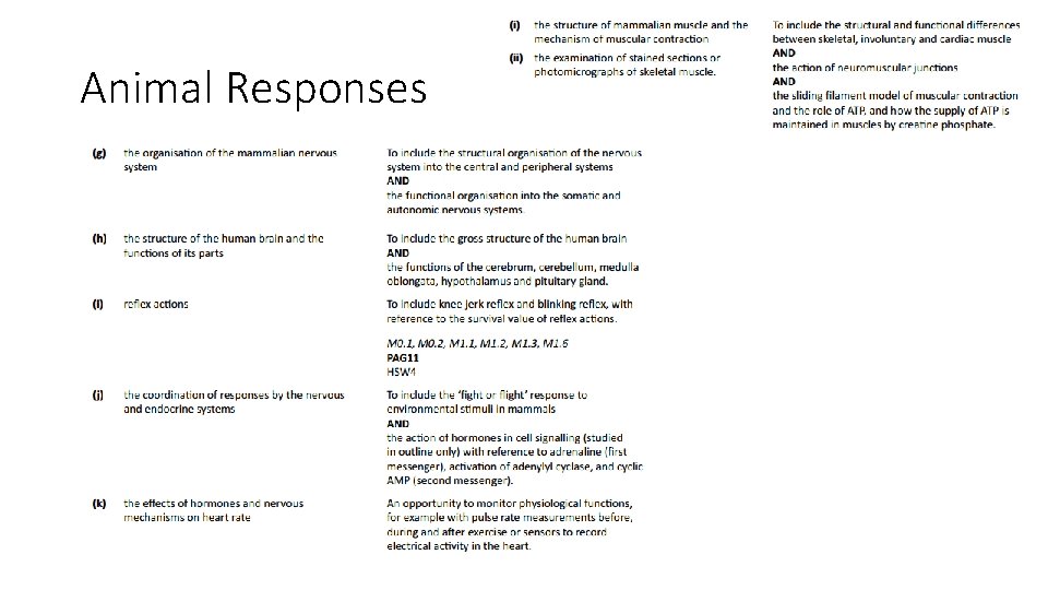 Animal Responses 