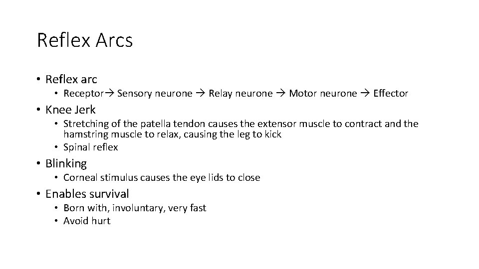 Reflex Arcs • Reflex arc • Receptor Sensory neurone Relay neurone Motor neurone Effector