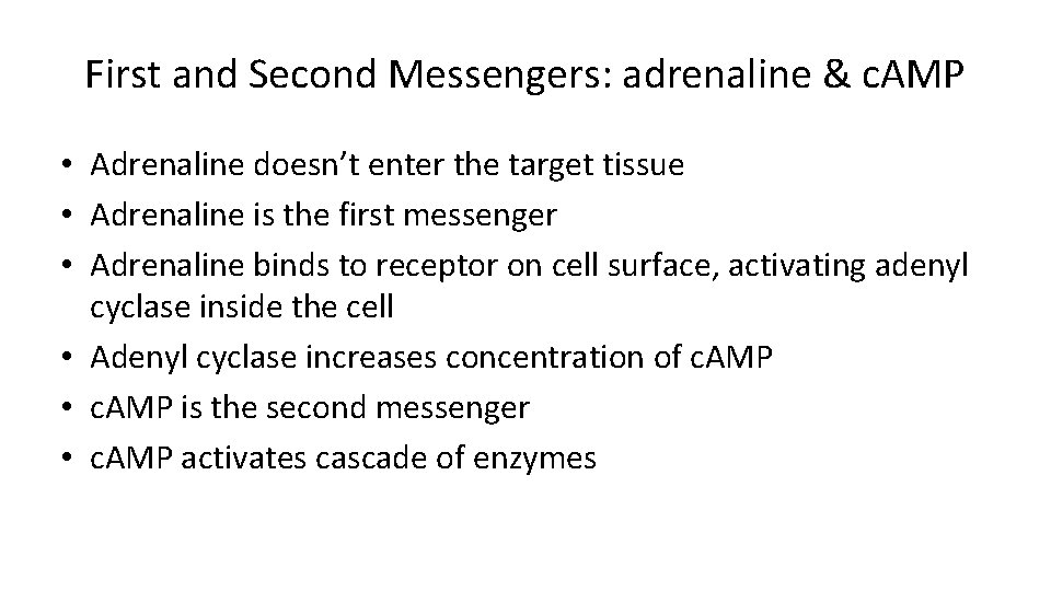 First and Second Messengers: adrenaline & c. AMP • Adrenaline doesn’t enter the target