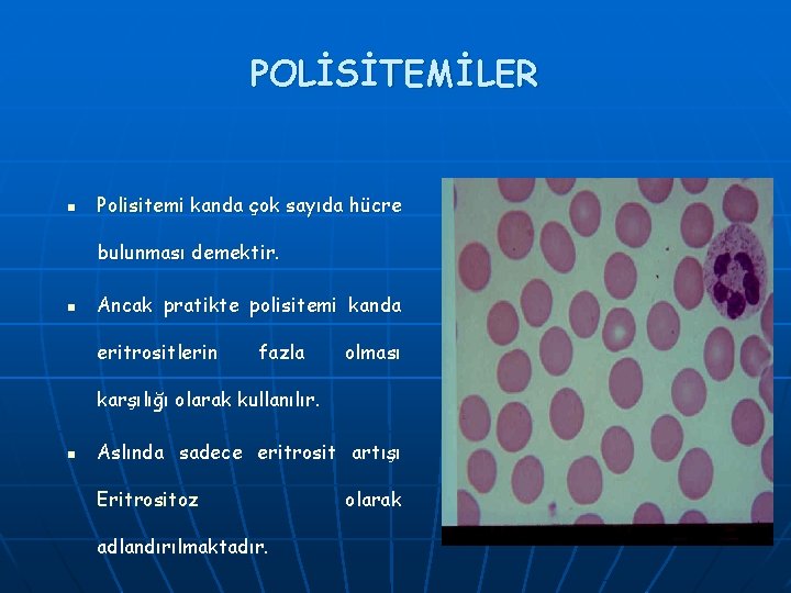 POLİSİTEMİLER n Polisitemi kanda çok sayıda hücre bulunması demektir. n Ancak pratikte polisitemi kanda