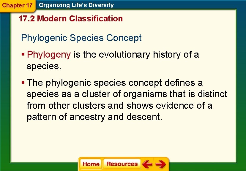 Chapter 17 Organizing Life’s Diversity 17. 2 Modern Classification Phylogenic Species Concept § Phylogeny