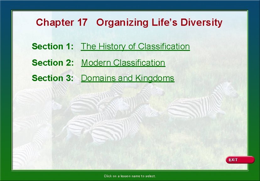 Chapter 17 Organizing Life’s Diversity Section 1: The History of Classification Section 2: Modern