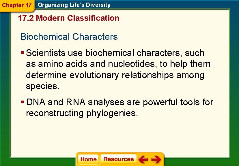 Chapter 17 Organizing Life’s Diversity 17. 2 Modern Classification Biochemical Characters § Scientists use Chapter 17 Organizing Life’s Diversity 17. 2 Modern Classification Biochemical Characters § Scientists use