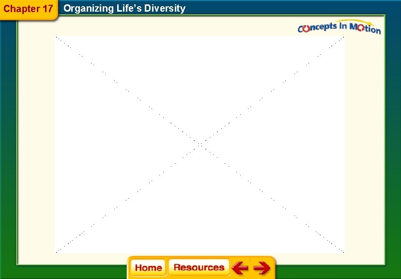 Chapter 17 Organizing Life’s Diversity 