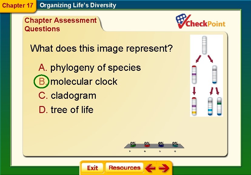 Chapter 17 Organizing Life’s Diversity Chapter Assessment Questions What does this image represent? A.