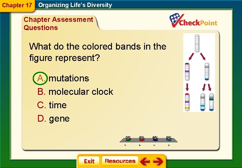 Chapter 17 Organizing Life’s Diversity Chapter Assessment Questions What do the colored bands in