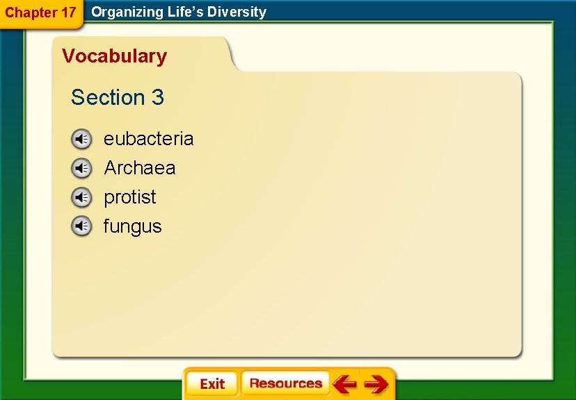 Chapter 17 Organizing Life’s Diversity Vocabulary Section 3 eubacteria Archaea protist fungus Chapter 17 Organizing Life’s Diversity Vocabulary Section 3 eubacteria Archaea protist fungus