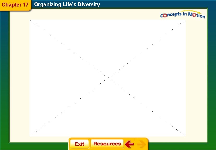 Chapter 17 Organizing Life’s Diversity Chapter 17 Organizing Life’s Diversity