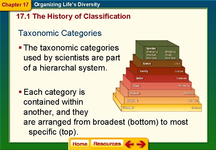 Chapter 17 Organizing Life’s Diversity 17. 1 The History of Classification Taxonomic Categories § Chapter 17 Organizing Life’s Diversity 17. 1 The History of Classification Taxonomic Categories §