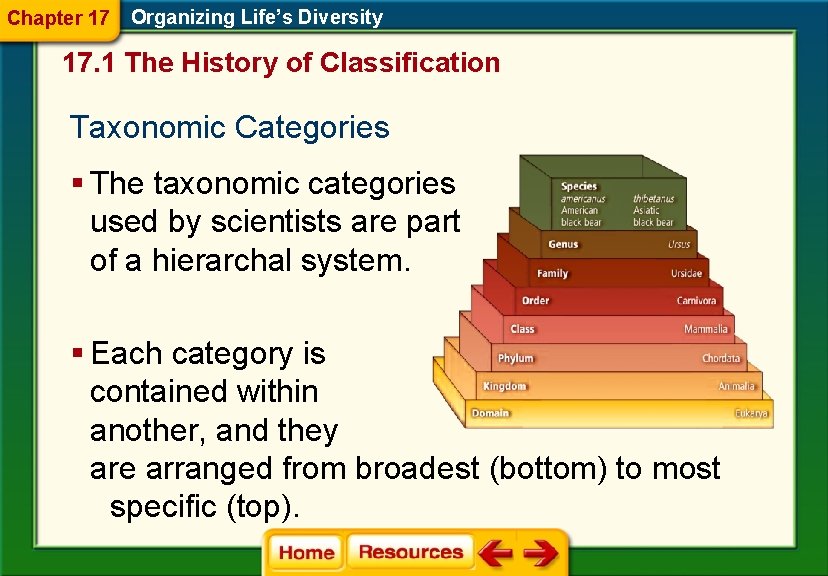 Chapter 17 Organizing Life’s Diversity 17. 1 The History of Classification Taxonomic Categories §