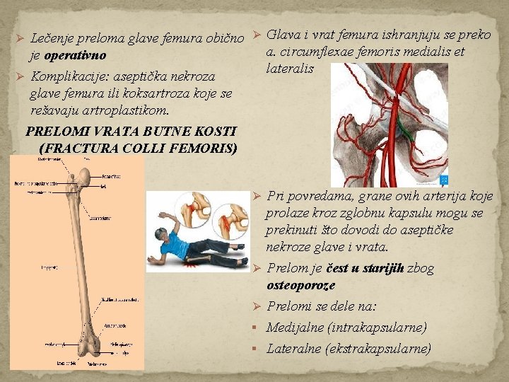 Ø Lečenje preloma glave femura obično Ø Glava i vrat femura ishranjuju se preko