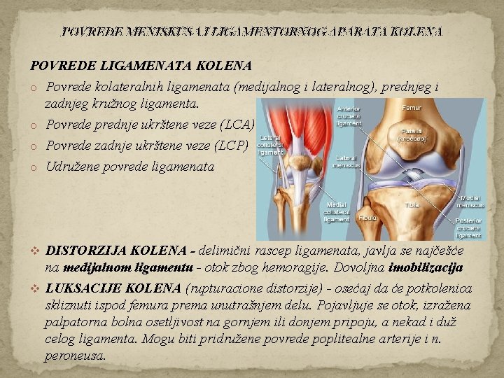 POVREDE MENISKUSA I LIGAMENTORNOG APARATA KOLENA POVREDE LIGAMENATA KOLENA o Povrede kolateralnih ligamenata (medijalnog