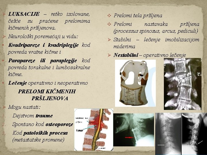 Ø LUKSACIJE – retko izolovane, Ø § § § Ø 1. 2. 3. češće