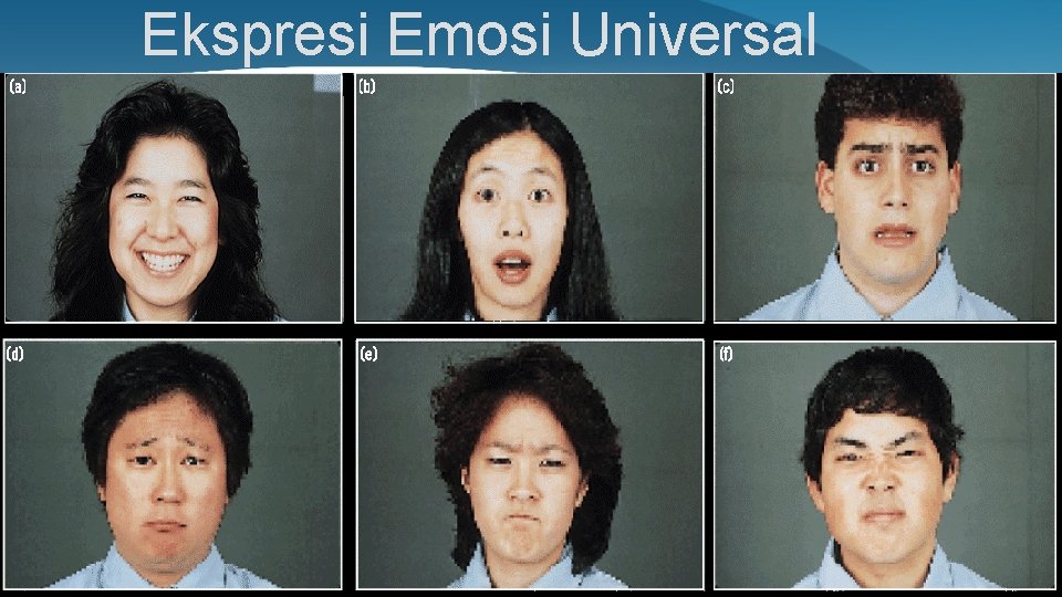 Ekspresi Emosi Universal 