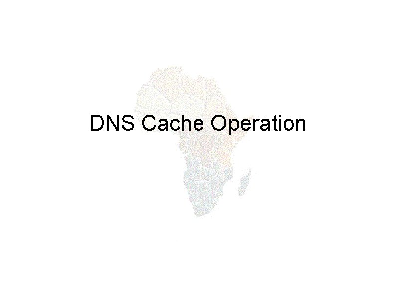 DNS Cache Operation 