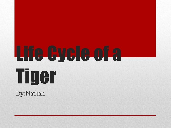 Life Cycle of a Tiger By: Nathan 