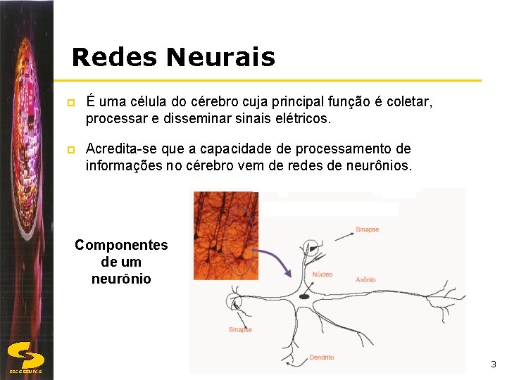 Redes Neurais p É uma célula do cérebro cuja principal função é coletar, processar