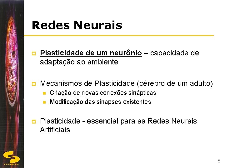 Redes Neurais p Plasticidade de um neurônio – capacidade de adaptação ao ambiente. p