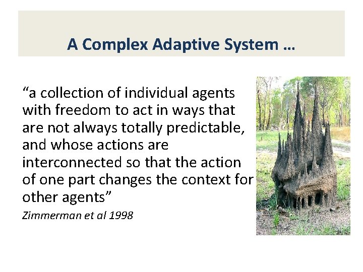 A Complex Adaptive System … “a collection of individual agents with freedom to act