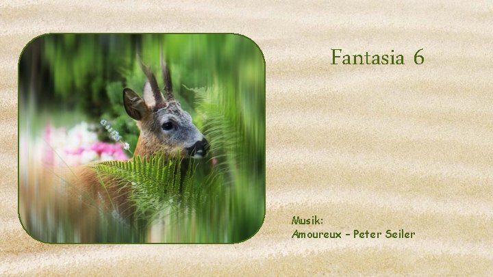 Fantasia 6 Musik: Amoureux – Peter Seiler 