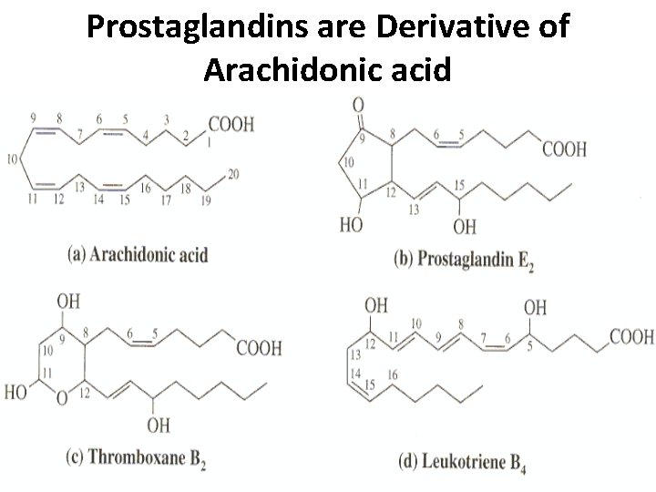 Prostaglandins are Derivative of Arachidonic acid 