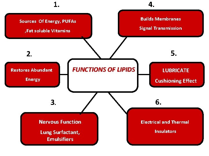 1. 4. Sources Of Energy, PUFAs Builds Membranes , Fat soluble Vitamins Signal Transmission