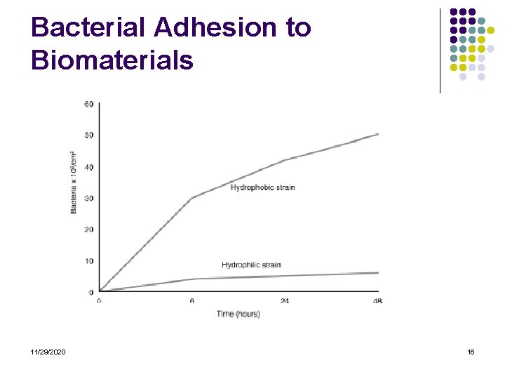 Bacterial Adhesion to Biomaterials 11/29/2020 16 