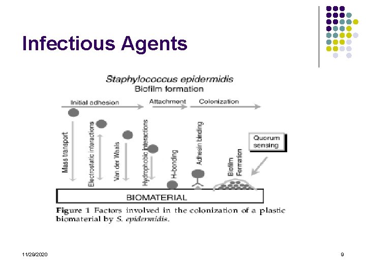 Infectious Agents 11/29/2020 9 