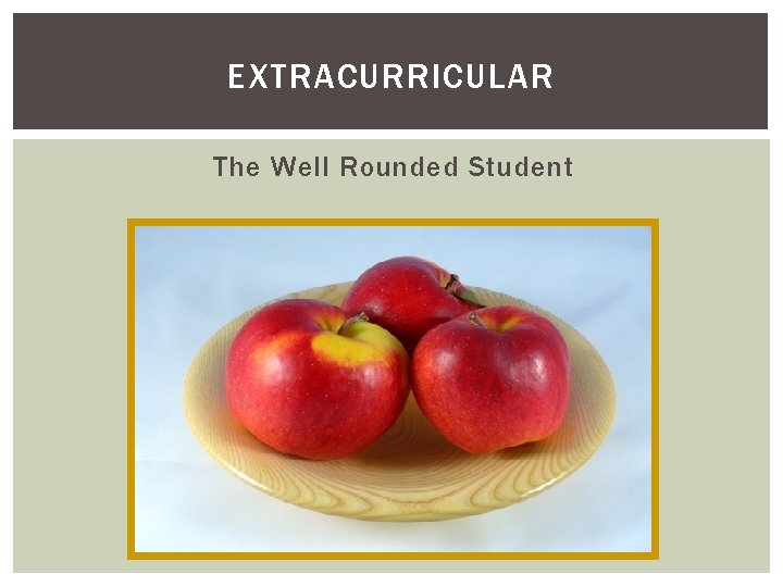 EXTRACURRICULAR The Well Rounded Student 