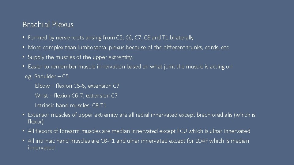 Brachial Plexus • Formed by nerve roots arising from C 5, C 6, C