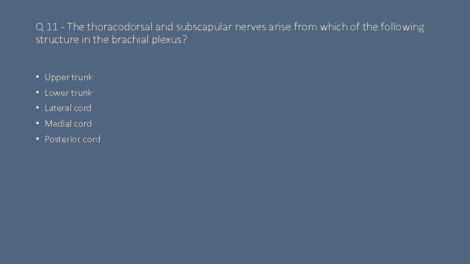 Q 11 - The thoracodorsal and subscapular nerves arise from which of the following