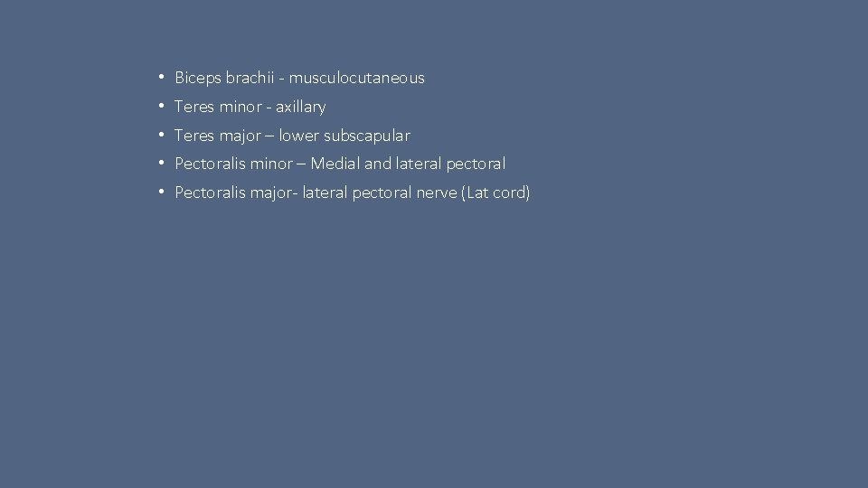  • Biceps brachii - musculocutaneous • Teres minor - axillary • Teres major
