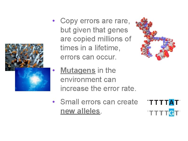  • Copy errors are rare, but given that genes are copied millions of