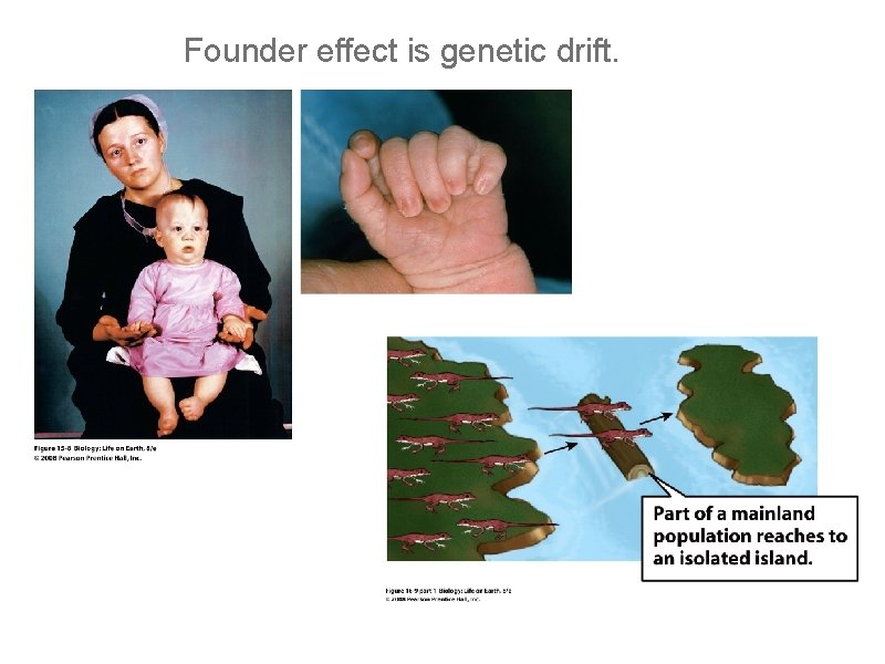 Founder effect is genetic drift. 