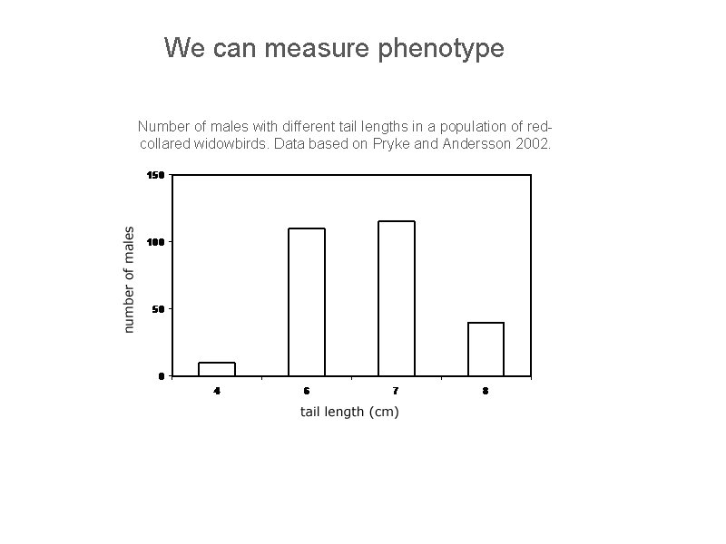 We can measure phenotype Number of males with different tail lengths in a population