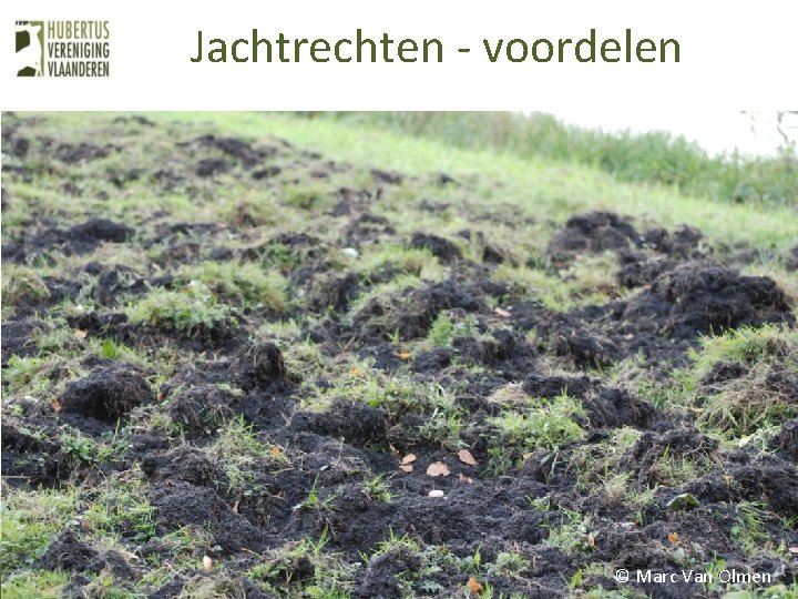 Jachtrechten - voordelen © Marc Van Olmen Jachtrechten - voordelen © Marc Van Olmen