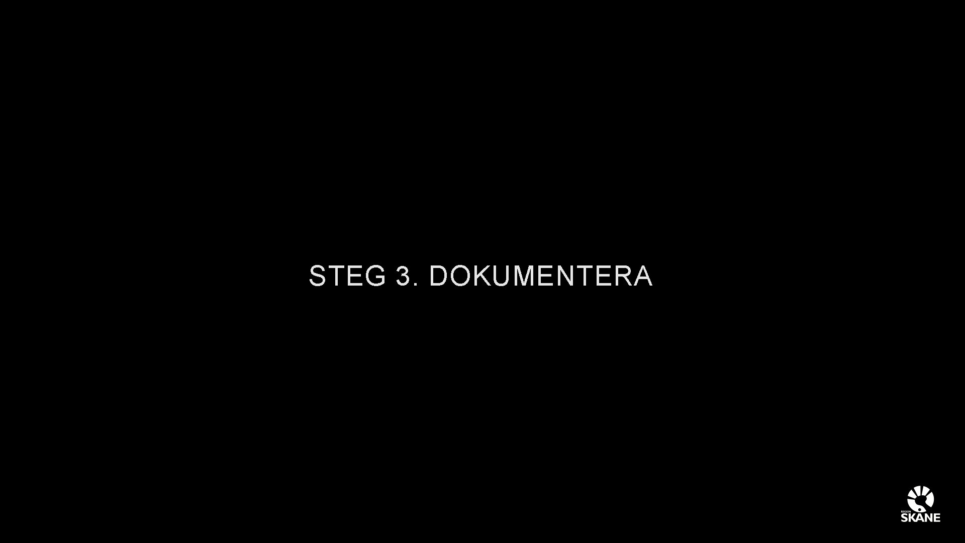 STEG 3. DOKUMENTERA 