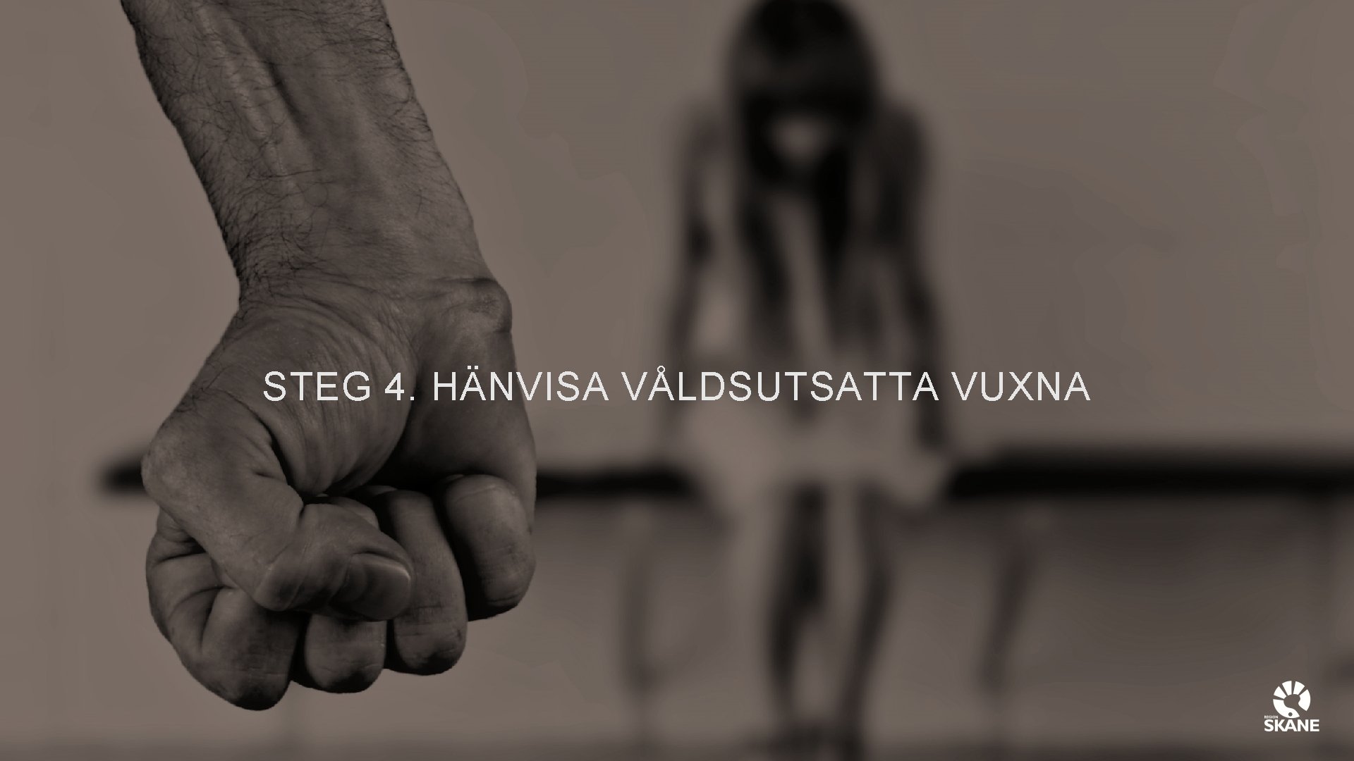 STEG 4. HÄNVISA VÅLDSUTSATTA VUXNA 