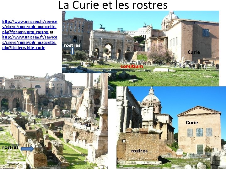 La Curie et les rostres http: //www. unicaen. fr/service s/cireve/rome/pdr_maquette. php? fichier=visite_rostres et http: