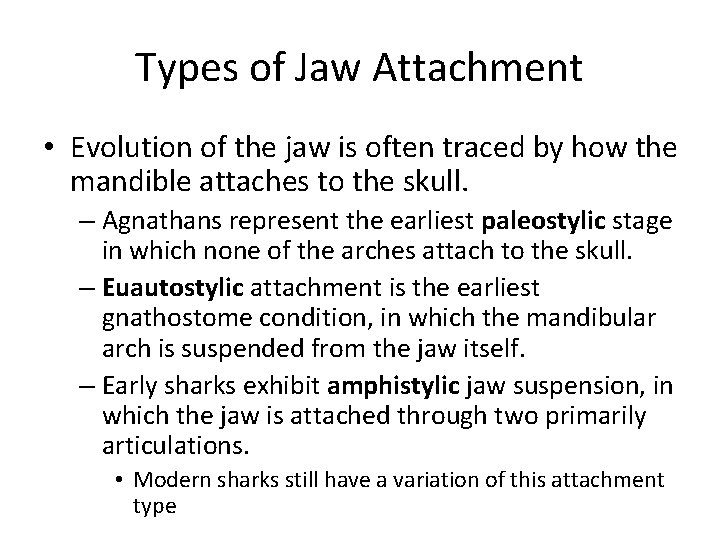 Types of Jaw Attachment • Evolution of the jaw is often traced by how