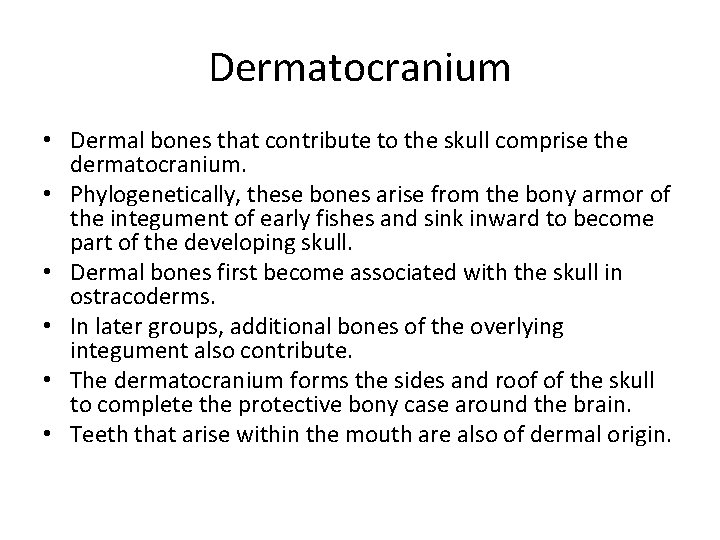Dermatocranium • Dermal bones that contribute to the skull comprise the dermatocranium. • Phylogenetically,