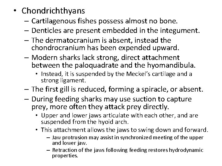  • Chondrichthyans – Cartilagenous fishes possess almost no bone. – Denticles are present