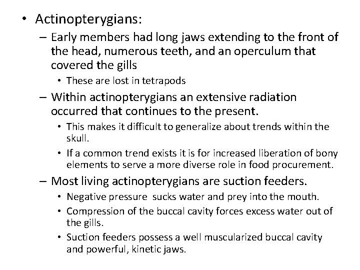  • Actinopterygians: – Early members had long jaws extending to the front of