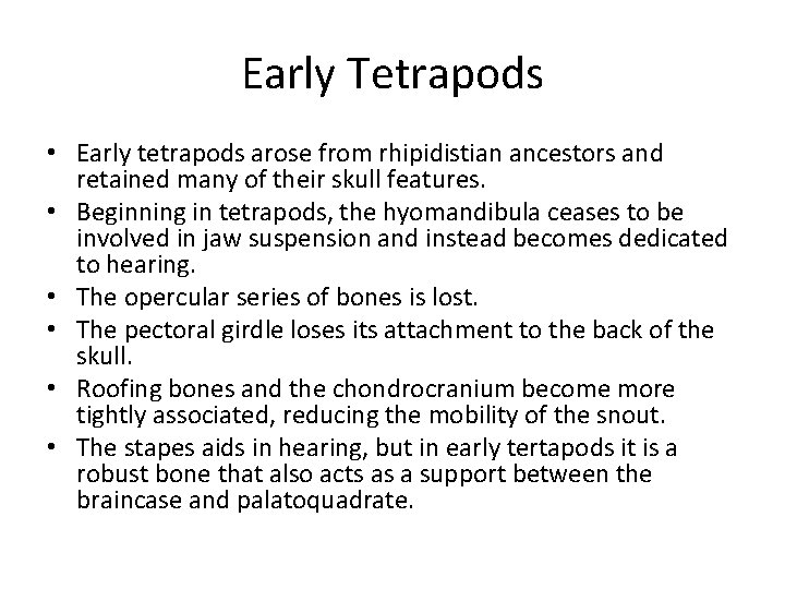 Early Tetrapods • Early tetrapods arose from rhipidistian ancestors and retained many of their