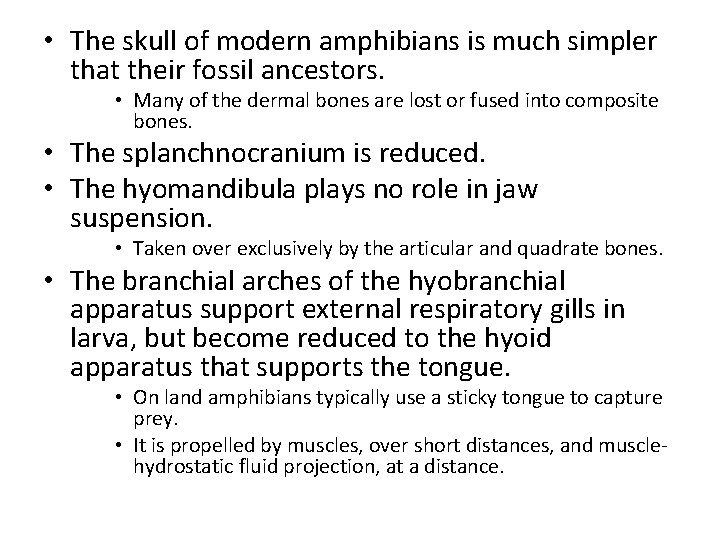  • The skull of modern amphibians is much simpler that their fossil ancestors.