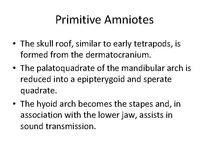 Primitive Amniotes • The skull roof, similar to early tetrapods, is formed from the