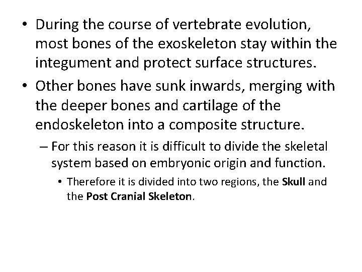  • During the course of vertebrate evolution, most bones of the exoskeleton stay