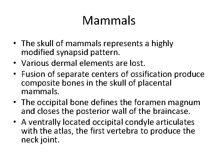 Mammals • The skull of mammals represents a highly modified synapsid pattern. • Various