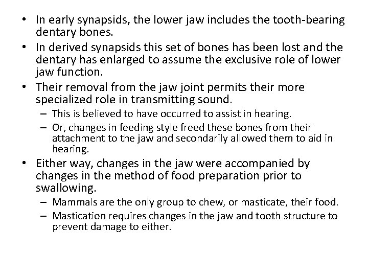  • In early synapsids, the lower jaw includes the tooth-bearing dentary bones. •